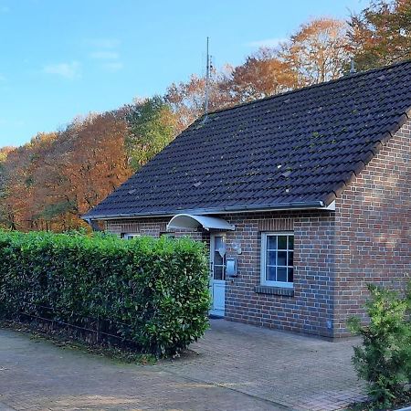 "Am Waldesrand" Re16 Villa Sögel Exterior foto